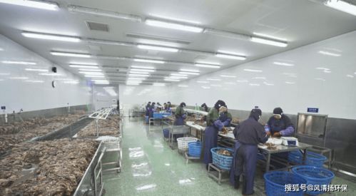 食品工业废水除臭剂的使用方式及其在广东省基础电信业务中的潜在应用